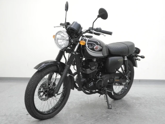Kawasaki W175 SE (2018)